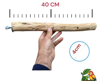 Extra große Vogelstange aus Olivenholz für Papageien (40 cm)