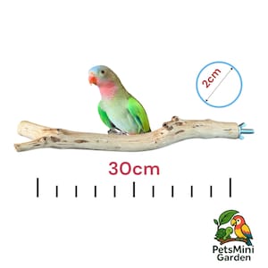 Puede incluir: Un loro colorido posado en una percha de madera natural de aproximadamente 30 cm de largo. La percha tiene un accesorio de tornillo metálico. La imagen también incluye un indicador de medición de 2 cm y el logotipo de PetsMini Garden.