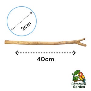 Handgjord papegojapinne i olivträ (40 cm), tillbehör till säker bur för fågelgrenar i naturlig trä