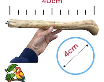Extra große Vogelstange aus Olivenholz für Papageien / Großvögel