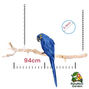 Posatoio per uccelli extra large in legno d'ulivo – Supporto naturale per pappagalli, ideale per ara e uccelli di grandi dimensioni.