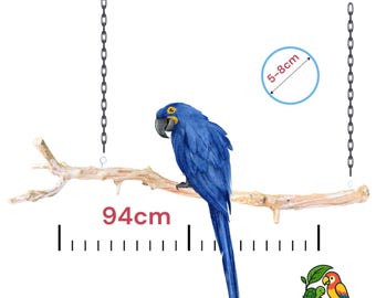 Extra große Vogelstange aus Olivenholz für Papageien / Großvögel