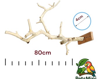 Wall-Mounted Natural Lemon Wood Perch – For Large Parrots