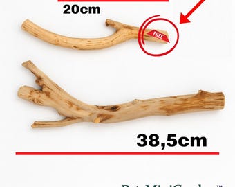 Handgefertigte Sitzstange (38,5cm) aus Olivenholz | Natürlicher Papageienkäfig oder Ständerzubehör