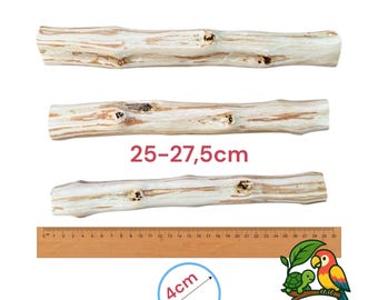 3er Set Natürliche Olivenholz Vogel Sitzstange | Handgefertigt in Cypern | von PetsMiniGarden™