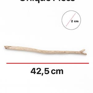 Może przedstawiać: Jasny, unikalny kawałek drewna o długości 42,5 cm i średnicy 2 cm. Tekst "Unique Piece" jest wyświetlany nad drewnem. Drewno ma naturalny, organiczny kształt.