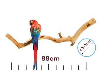 Extra große Vogelstange aus Olivenholz für Papageien / Großvögel