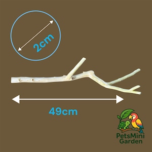 Op de afbeelding: Een lichtgekleurde, natuurlijke houten tak als zitstok voor vogels, met een gladde textuur en meerdere kleine zijtakken. De tak is 49 cm lang en heeft een diameter van 2 cm, zoals aangegeven door de blauwe maataanduidingen op de afbeelding.