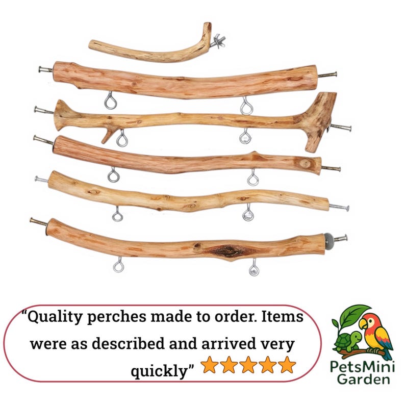 Extra Large Olive Wood Bird Perch – Natural Parrot Stand for Macaws ...