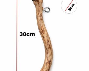 Wand - Handgefertigte Sitzstange aus Olivenholz für Vögel (30 cm)