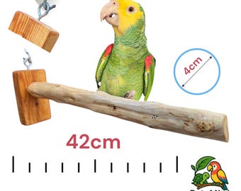 Extra große Vogelstange aus Olivenholz für Papageien / Großvögel
