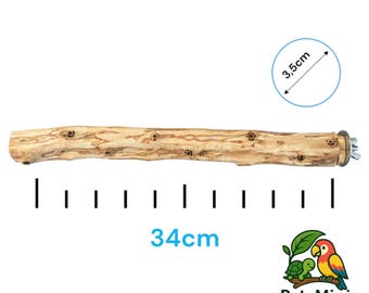 Percha extragrande de madera de olivo para pájaros – Soporte natural para loros y guacamayos (34 cm)