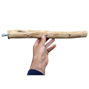 Pode incluir: Um poleiro cilíndrico de madeira castanho-claro com textura de casca natural e nós visíveis. Uma extremidade possui um parafuso de metal prateado e uma anilha circular para montagem, proporcionando uma superfície horizontal sólida.