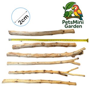 Könnte beinhalten: Mehrere natürliche Vogelstangen aus Holz in verschiedenen Formen und Größen werden vor weißem Hintergrund gezeigt. Die Stangen sind hellbraun und beige, mit einem Durchmesser von 2 cm. Das Logo von PetsMini Garden ist oben rechts sichtbar.