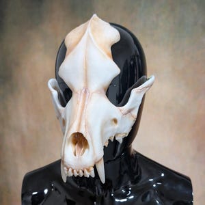 May include: A detailed, off-white skull mask with visible teeth and eye sockets. The mask is set against a black, glossy surface, creating a striking contrast. The skull has a weathered appearance, suggesting an aged or antique aesthetic.