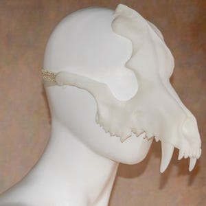 May include: A white, sculpted mask in the shape of a canine skull. The mask features detailed teeth and a textured surface. A thin, decorative band secures the mask to the head. The mask is displayed on a white mannequin head.