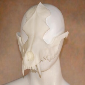 May include: A white, cat skull mask with detailed bone structure, including eye sockets, teeth, and a prominent nasal cavity. The mask is worn on a white mannequin head, showcasing its form and design.