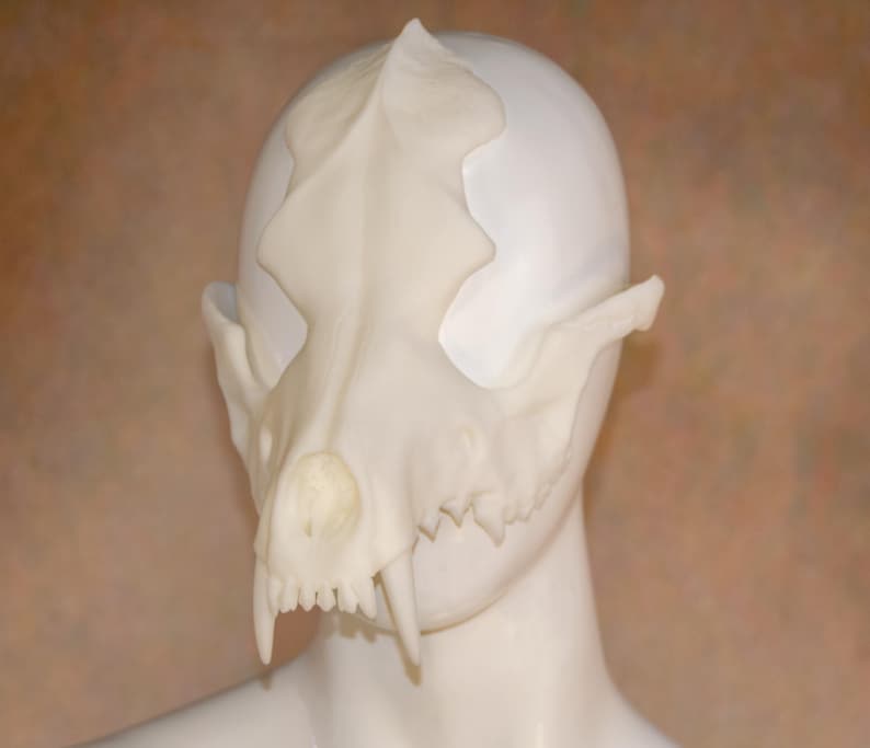 May include: A white, cat skull mask with detailed bone structure, including eye sockets, teeth, and a prominent nasal cavity. The mask is worn on a white mannequin head, showcasing its form and design.