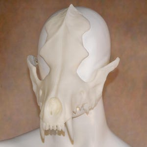 May include: A cream-colored, cat skull mask is displayed on a white mannequin head. The mask has detailed features, including eye sockets, teeth, and a pointed top. The mask is a unique accessory.