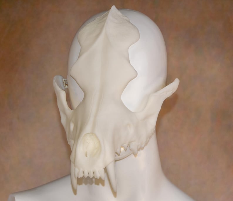 May include: A cream-colored, cat skull mask is displayed on a white mannequin head. The mask has detailed features, including eye sockets, teeth, and a pointed top. The mask is a unique accessory.