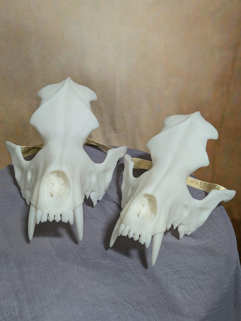 May include: Two white, stylized skull masks with sharp teeth and pointed ears. The masks are connected by a gold-colored band. The skulls are resting on a gray surface.