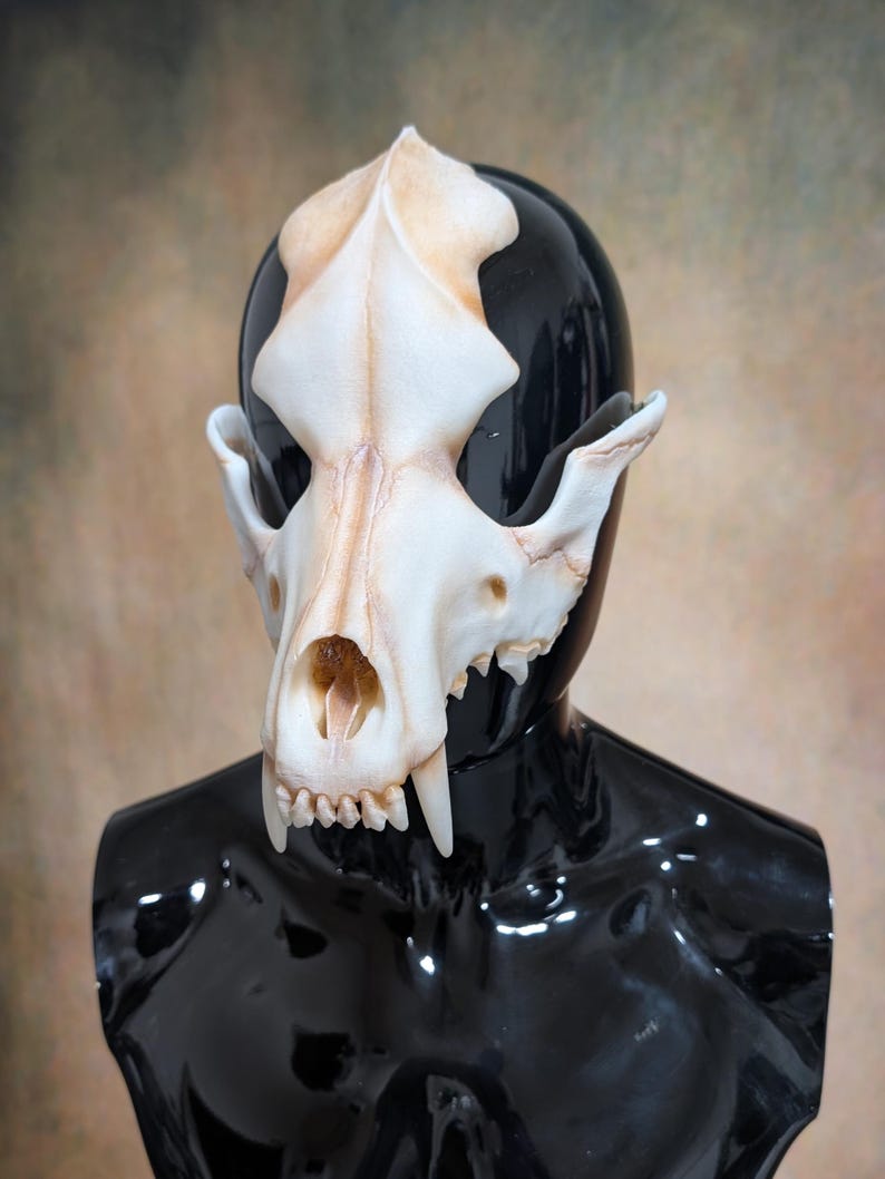 May include: A detailed, off-white skull mask with visible teeth and eye sockets. The mask is set against a black, glossy surface, creating a striking contrast. The skull has a weathered appearance, suggesting an aged or antique aesthetic.
