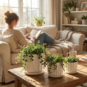 3-Piece White Ceramic Planter Pot Set with Fluted Design & Saucers image 3