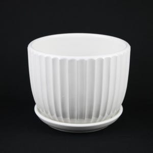 May include: A white ceramic planter with a ribbed design and a matching saucer. The planter has a rounded shape and a scalloped rim. The saucer is round and flat. The planter and saucer are both made of ceramic and are white.