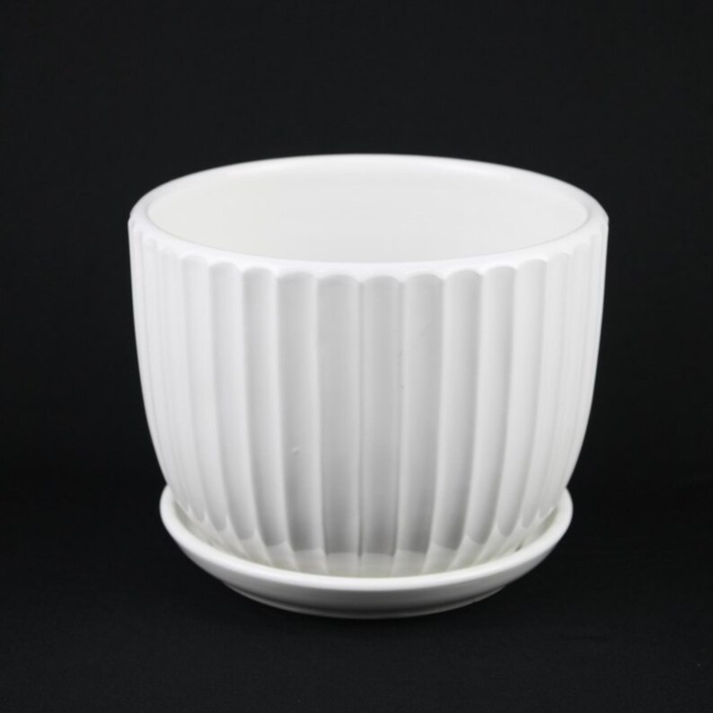 May include: A white ceramic planter with a ribbed design and a matching saucer. The planter has a rounded shape and a scalloped rim. The saucer is round and flat. The planter and saucer are both made of ceramic and are white.