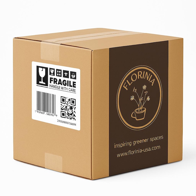 May include: A brown cardboard box with a white label displaying "FRAGILE HANDLE WITH CARE" and a barcode. The box features a dark brown panel with the "FLORINIA" logo and the text "inspiring greener spaces" and website address.