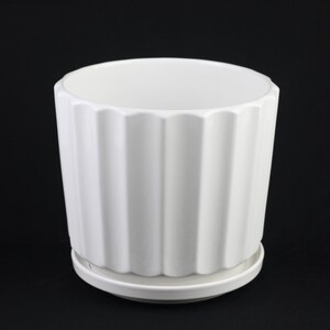 May include: A white ceramic planter with a ridged exterior design. The planter has a matching saucer and a cylindrical shape. The planter is suitable for indoor or outdoor use. The planter is approximately 6 inches tall and 6 inches in diameter.
