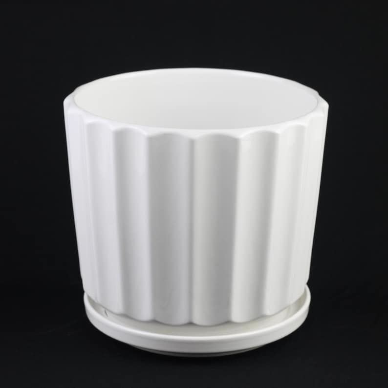 May include: A white ceramic planter with a ridged exterior design. The planter has a matching saucer and a cylindrical shape. The planter is suitable for indoor or outdoor use. The planter is approximately 6 inches tall and 6 inches in diameter.
