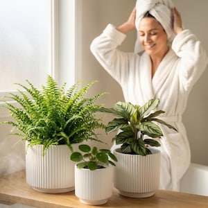 3-Piece White Stoneware Planter Pot Set with Ribbed Texture