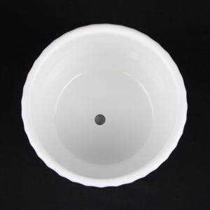 May include: A white ceramic planter with a scalloped rim. The interior is smooth and the bottom has a drainage hole. The planter is set against a black background.