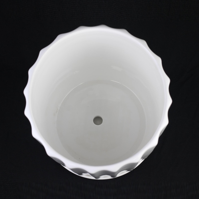 May include: A white ceramic planter with a scalloped rim. The interior is smooth and the bottom has a drainage hole. The planter is designed for indoor or outdoor use and is suitable for various plants.