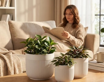 3-Piece White Stoneware Planter Pot Set with Vertical Line Texture