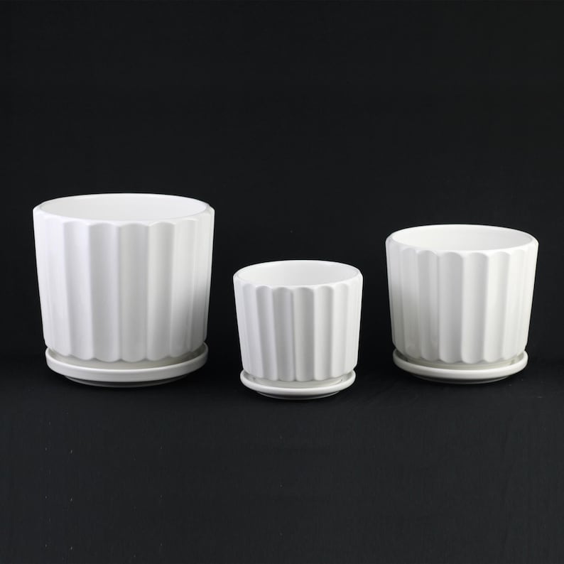 May include: Three white ceramic flower pots of varying sizes, each with a ridged exterior design and a matching saucer. The pots are cylindrical and have a clean, modern aesthetic, suitable for indoor or outdoor use.