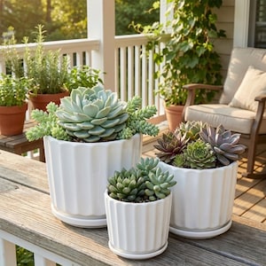 3-Piece White Ceramic Planter Pot Set with Fluted Design & Saucers image 2