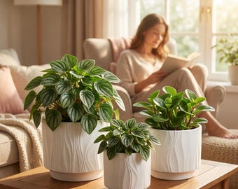 3-Piece White Stoneware Planter Pot Set with Embossed Texture