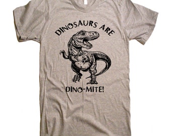 May include: A gray t-shirt with a black dinosaur graphic and the text "Dinosaurs are Dino-mite!"