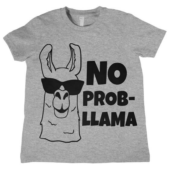 Youth Hoodie No Probllama Funny Animal Always Be A Llama Long Sleeve Fleece Pullover Hoody Sweatshirt