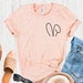 Raccoon Camping T-shirt Womens Mens Children Kids Camp Champ Great ...