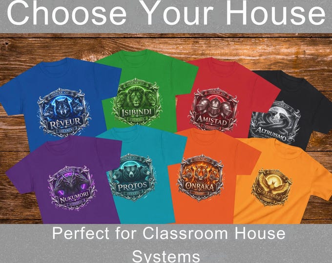 PBIS Classroom House System Shirts, Kids School Team Shirt, Student Reward Tee, Elementary Classroom Management Shirt, School Spirit Shirt