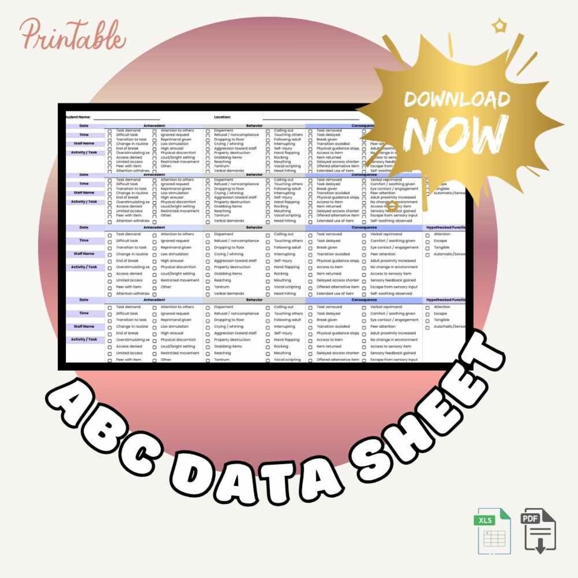 ABC Data Sheet | Editable Excel + Printable PDF | Data Collection Tool ...