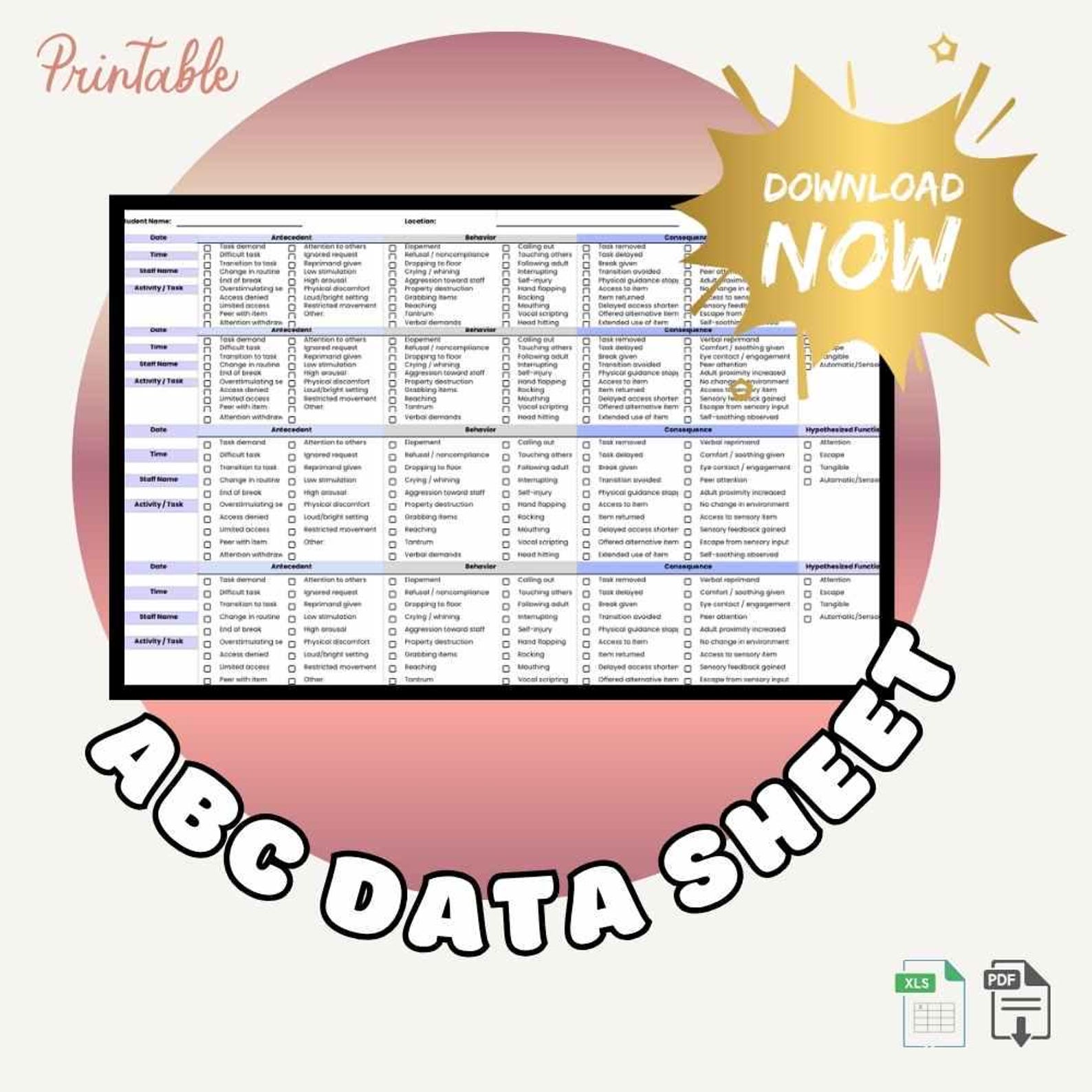 ABC Data Sheet | Editable Excel + Printable PDF | Data Collection Tool ...