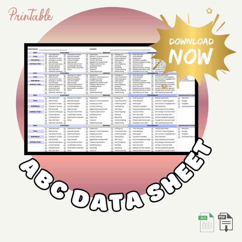 ABC Data Sheet | Editable Excel + Printable PDF | Data Collection Tool ...