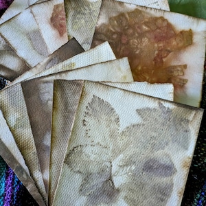 Plant Dyed Paper Eco Printed Hand Dyed Collage Art Journal Mixed Media Eco Print Dye Journal Ephemera Journaling Card Making Crafts