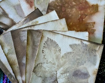 Może przedstawiać: Stosik ręcznie robionego papieru z odciskami liści w odcieniach brązu, zieleni i beżu. Papier jest ułożony wachlarzowo, ukazując różne odcienie odcisków.