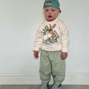 May include: A child wearing a light beige sweatshirt with a graphic of a rabbit wearing sunglasses and the text "BIG HOPPA". The child is also wearing green striped pants, a teal baseball cap, and checkered slip-on shoes.