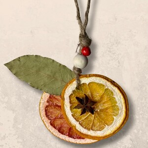May include: A rustic ornament featuring dried orange and grapefruit slices, a star anise, and a bay leaf. The ornament is strung on a natural twine cord, accented with a wooden bead and a red berry. The overall theme is natural and botanical.